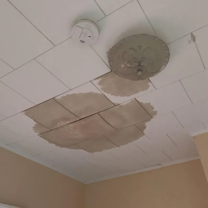 Ceiling Water Damage Repair in Dublin, PA