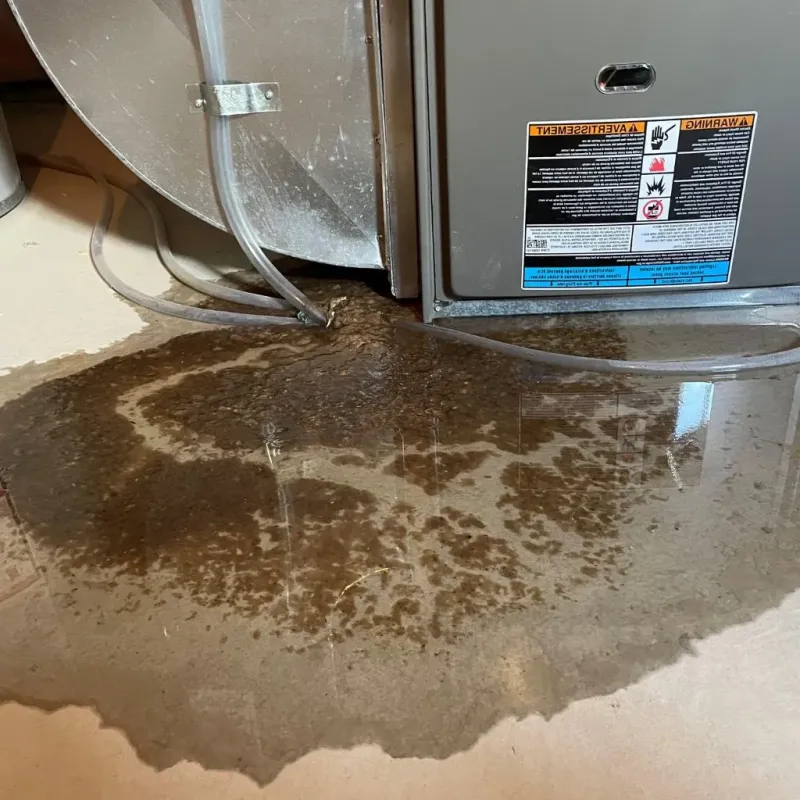 Pipe Burst and Leak Restoration in Dublin, PA