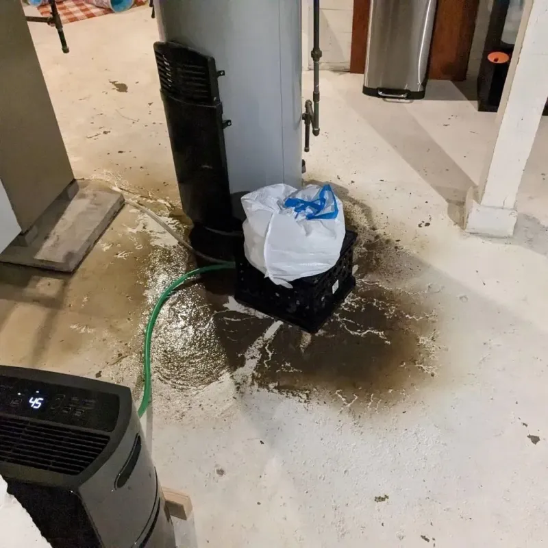 Sewage Backup Cleanup Service in Dublin, PA